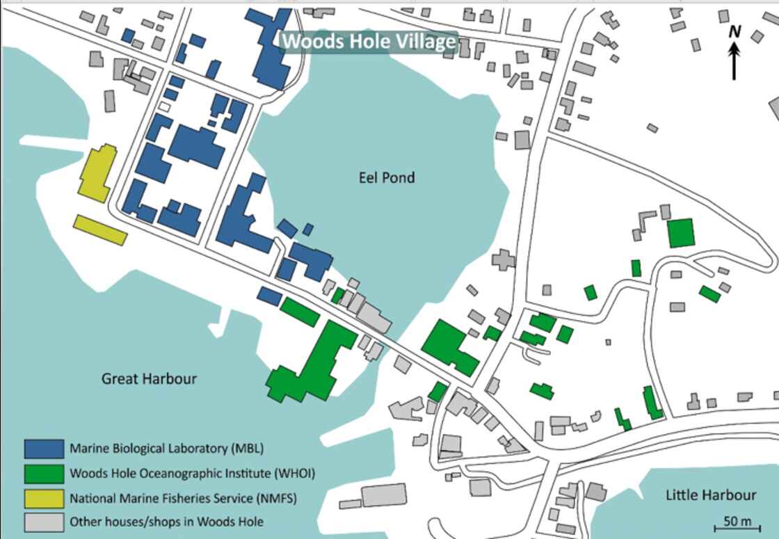 The Croucher Foundation